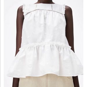 Zara Lace Insert Dotted Mesh Top